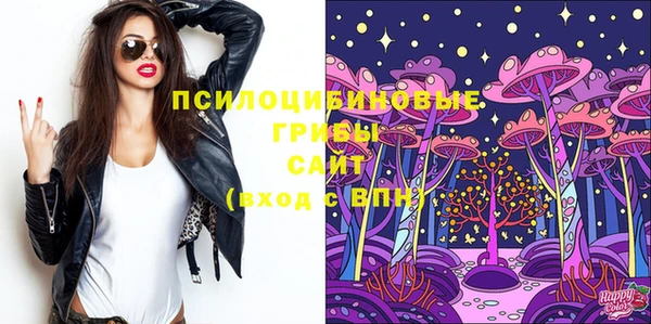 PSILOCYBIN Киренск