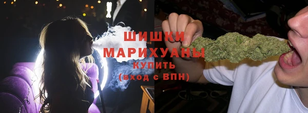 дмт Козловка