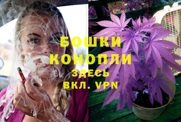 дмт Козловка