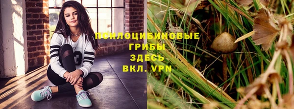 дмт Козловка