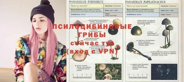 наркотики Кодинск