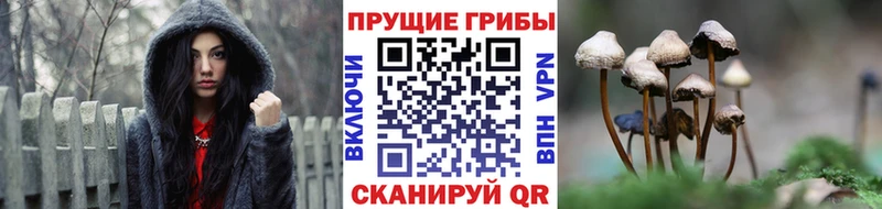 Купить закладки  Ленск  Галлюциногенные грибы ЛСД 